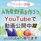 野菜作り教室youtube